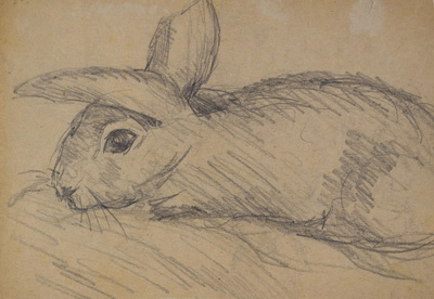 Konrad Sommer: Hase, um 1946, Bleistift auf Papier, 18,6 x 27,0 cm 