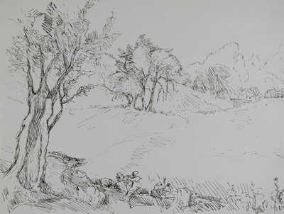Konrad Sommer: Bäume in einer Berglandschaft, um 1947, Tusche, Feder auf Papier, 21,0 x 27,2 cm, Sammlung Michael Gorkow
