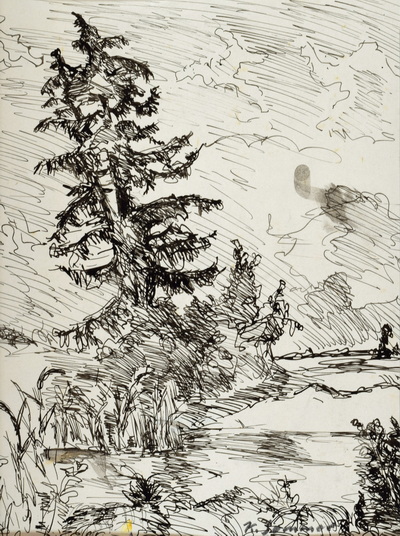 Konrad Sommer: Tanne, um 1947, Tusche, Feder auf Papier, 30,6 x 22,1 cm