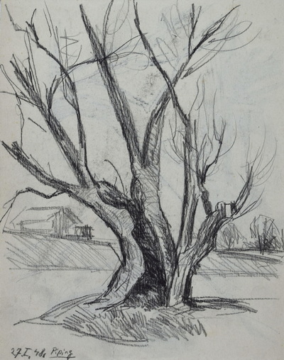 Konrad Sommer: Baumstudie, 27.01.1948,  Bleistift auf Papier, 22,4 x 17,8 cm 