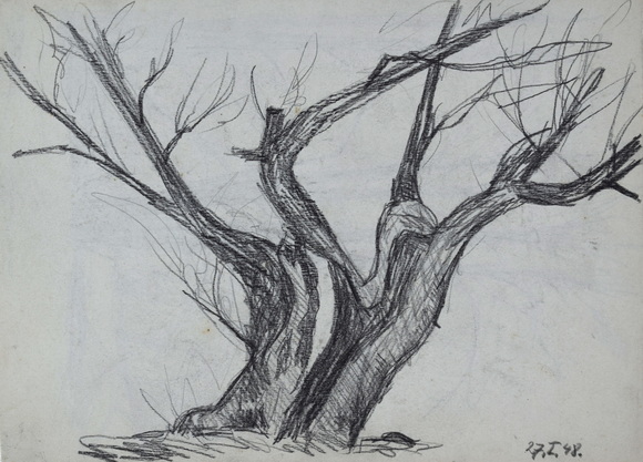 Konrad Sommer, Baumstudie, 27.1.1948, Bleistift auf Papier, 16,6 x 25,8 cm, bez. u.r.: 27.I.48