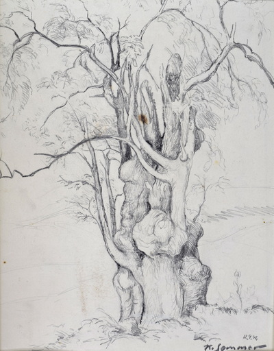 Konrad Sommer: Baumstudie, 12.9.1948,  Bleistift auf Papier, 36,7 x 29,5 cm