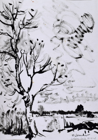 Konrad Sommer: Letztes Laub, 26.10.1948, Tusche, Rohrfeder auf Papier, 43,9 x 26,7 cm, bez.u.r.: K. Sommer Letztes Laub 26.10.48.