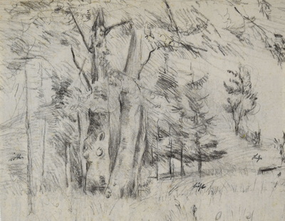 Konrad Sommer:Bäume, um 1948,  Kohle auf Papier, 17,8 x 23,0 cm