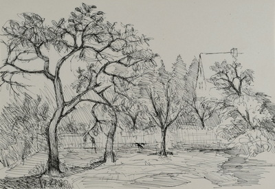 Konrad Sommer:  Garten in München-Moosach, um 1948, Tusche, Feder, auf Papier, 20,2 x 29,0 cm, Sammlung Michael Gorkow