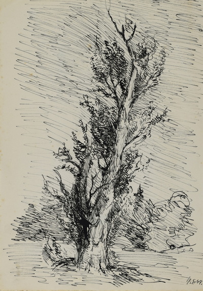 Konrad Sommer: Baumstudie, 17.5.1948, Tusche, Feder, auf Papier, 29,0 x 20,8 cm