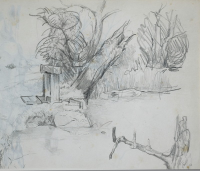 Konrad Sommer: Baumstudie, um 1949, Blei auf Papier, 17,0 x 20,4 cm,  Sammlung Michael Gorkow
