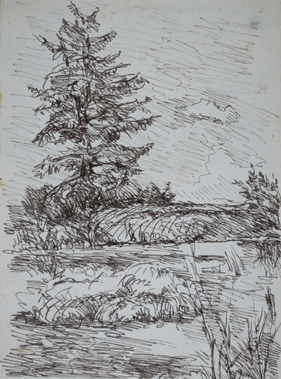 Konrad Sommer: Tanne an einem Gewässer, um 1949, Tusche, Feder auf Papier, 21,0 x 15,5 cm,  Sammlung Michael Gorkow