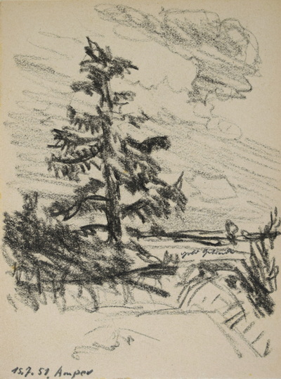 Konrad Sommer: Tanne an der Amper, 15.7.1950, Kohle, Bleistift auf Papier, 16,2 x 12,2 cm, bez.u.l.:  15.7.50., Sammlung Michael Gorkow Berlin