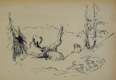 Konrad Sommer:  Bäume und Baumstümpfe, um 1950, Tusche, Rohrfeder auf Papier, 19,7 x 27,8 cm, Sammlung Michael Gorkow Berlin