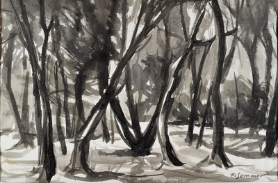 Konrad Sommer, Waldstück, um 1950, Tusche auf Papier, 27,0 x 40,0 cm, bez.u.r.: K. Sommer 