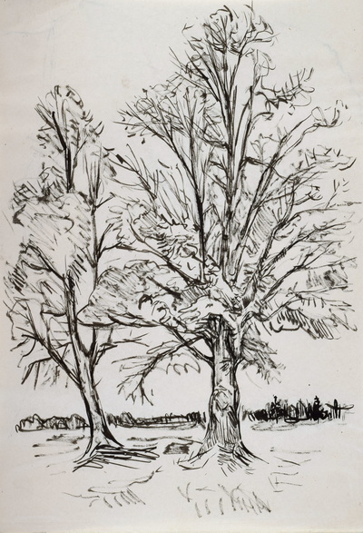 Konrad Sommer:  Zwei Bäume, um 1950, Tusche, Feder auf Papier, 29,6 x 20,2 cm