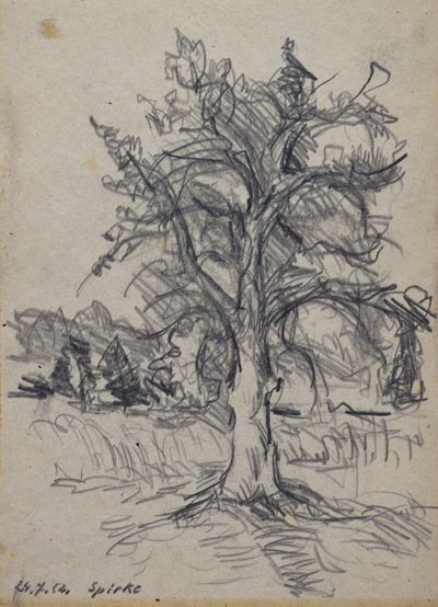 Konrad Sommer:  Spirke, 24.7.1952, Bleistift  auf Papier, 23,5 x 17,0 cm, bez.u.l.: 24.7.52 Spirke