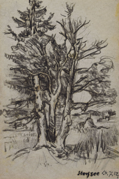 Konrad Sommer, Stechsee, 24.7.1952, Kohle, Bleistift auf Papier, 25,1 x 16,9 cm, bez.u.r.: Stechsee 24.7.52 