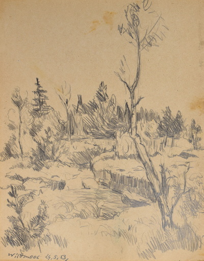 Konrad Sommer:  Wildmoos, 24.5.1953, Bleistift auf Papier, 25,2 x 19,7 cm, bez.u.l.:Wildmoos 24.5.53.