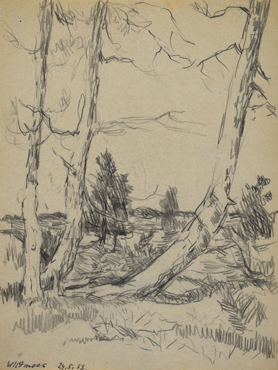 Konrad Sommer, Wildmoos, 24.5.1953,  Bleistift auf Papier, 26,1 x 19,5 cm, bez.u.l.: Wildmoos 24.5.53. 
