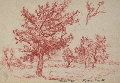 Konrad Sommer, Kiefern im Dachauer Moos, Mai 1954, Rötel und Bleistift auf Papier, 17,0 x 24,7 cm, bez.u.r.:  Am D. Moos Kiefern Mai 54. 