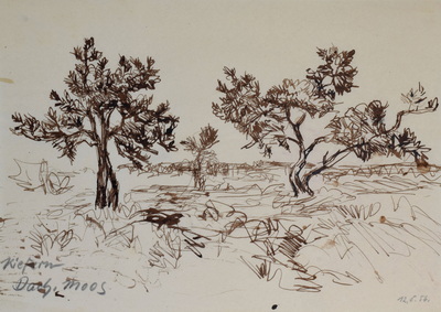 Konrad Sommer: Kiefern im Dachauer Moos, 12.5.1956,  Tusche, Rohrfeder, Bleistift auf Papier, 20,2 x 28,6 cm, bez.u.r.: Dach.Moos 12.5.56.