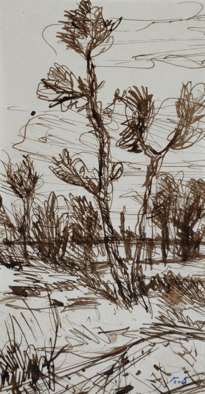 Konrad Sommer, Bäume und Gebüsch, um 1956, Tusche, Rohrfeder, Tinte auf Papier, 17,5 x 9,0 cm, bez.u.r.: K.S., Sammlung Michael Gorkow 