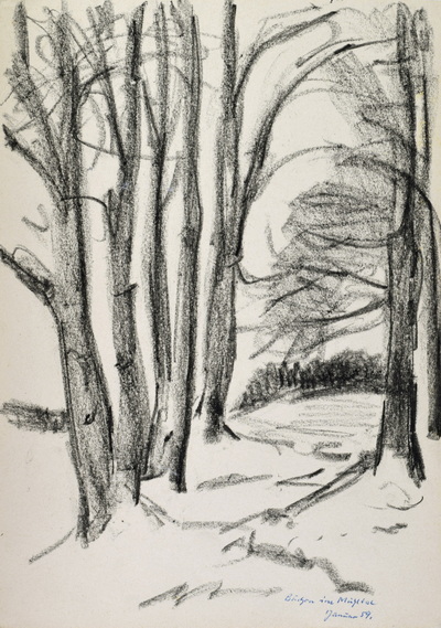 Konrad Sommer: Buchen im Mühltal,  Januar 1958,  Kohle auf Papier, 33,9 x 24,05 cm, bez.u.r. Buchen im Mühltal
