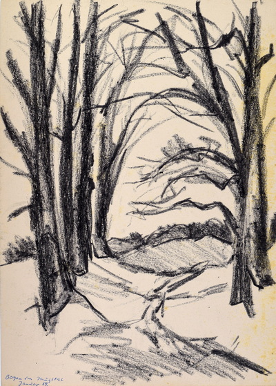 Konrad Sommer, Buchen im Mühltal,  Januar 1958,  Kohle auf Papier, 34,0 x 24,0 cm, bez.u.l. Buchen im Mühltal Januar 59. 