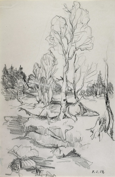 Konrad Sommer: Bäume in einer Landschaft,  7.5.1959,  Bleistift auf Papier, 31,4 x 20,3 cm, bez.u.r. 7.5.59.