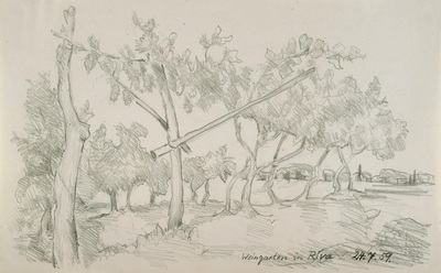 Konrad Sommer, Weingarten in Riva, 24.7.1959, Bleistift  auf Papier, 20,0 x 33,0 cm, bez. u.r.: Weingarten in Riva 24.7.59.    