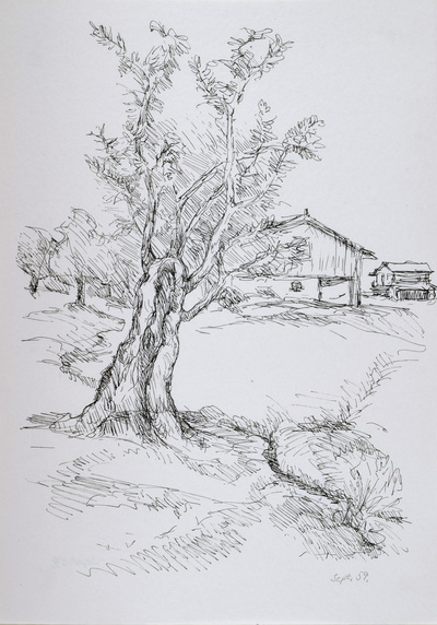 Konrad Sommer:  Gehöft mit Bäumen, September 1959,  Tusche, Feder, Bleistift auf Papier, 29,7 x 21,0 cm, bez. u.r.: Sept. 59. 
