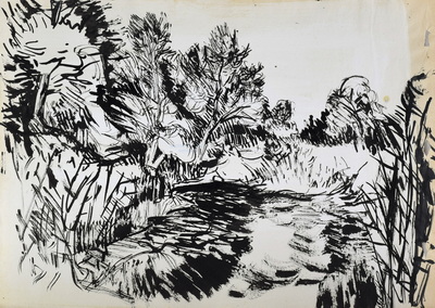 Konrad Sommer, Altwasser,  2.10.1959,  Tusche, Rohrfeder auf Papier, 29,7 x 42,0 cm, bez. Rs: Altwasser 2.10.59. 