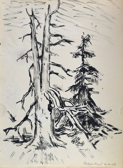 Konrad Sommer: Bäume auf dem Rabenkopf, 42.10.1959,  Tusche, Rohrfeder, Bleistift auf Papier, 42,0 x 29,7 cm, bez. u.r.: Rabenkopf 4.10.59.