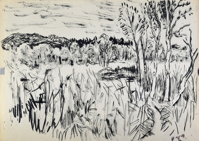 Konrad Sommer, Mühltal Moos,  10.10.1959,  Tusche, Rohrfeder auf Papier, 29,7 x 42,0 cm, bez. Rs.: Mühltal Moos  10.10.59. 