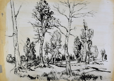 Konrad Sommer: Bäume in einer Mooslandschaft, um  1959,  Tusche, Rohrfeder auf Papier, 29,7 x 42,0 cm