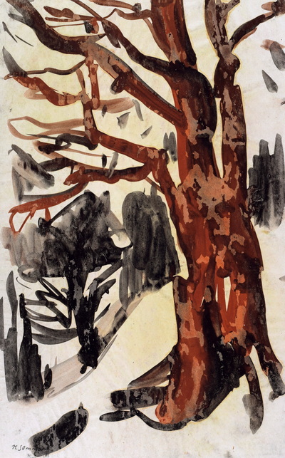 Konrad Sommer: Baum an einem Hang, 1961, Tusche, Sepia, Bleistift auf Papier, 32,8 x 20,1 cm, bez:u.l.: K. Sommer 61.