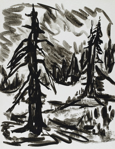 Konrad Sommer: Zwei Tannen, um 1964,  Tusche auf Papier, 27,0 x 21,0 cm, Sammlung Michael Gorkow