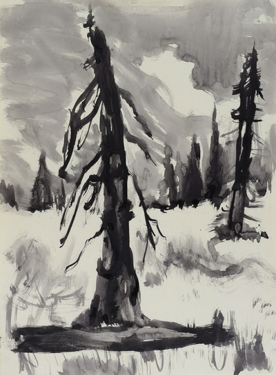 Konrad Sommer: Zwei abgestorbene Tannen,  um 1968,  Tusche auf Papier, 29,0 x 21,5 cm, Sammlung Michael Gorkow