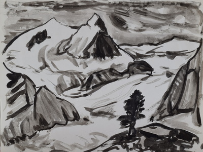 Konrad Sommer: Baum an einem Gletscher, um 1969, Tusche  auf Papier, 27,9 x 39,8 cm
