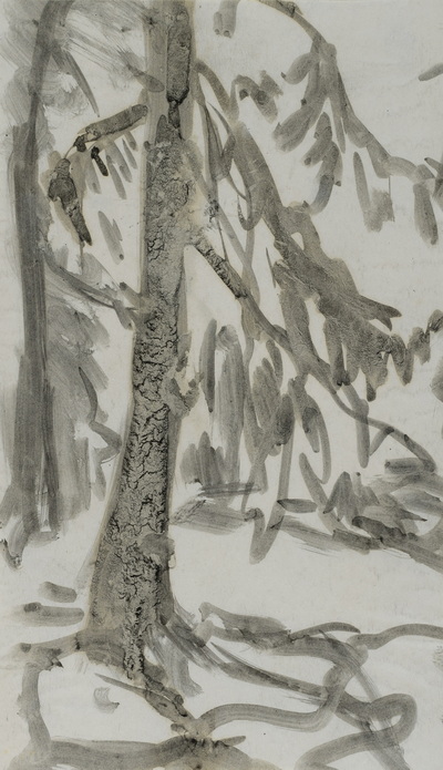 Konrad Sommer:  Baumstudie , um 1974, Tusche auf Papier, 27,5 x 16,0 cm, Sammlung Michael Gorkow