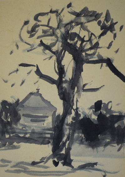 Konrad Sommer:  Baum im Garten Haldenberger Straße , um 1975, Tusche auf Papier, 28,5 x 20,3 cm, Sammlung Michael Gorkow