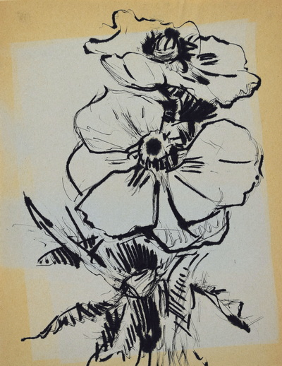 Konrad Sommer: Zwei Blüten, um 1978, Tusche auf Papier, 26,6 x 20,3 cm