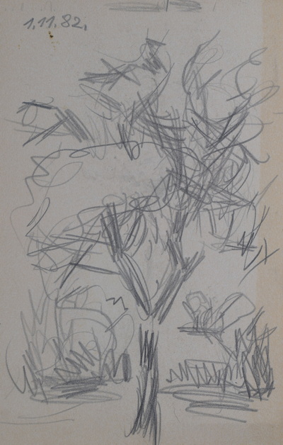 Konrad Sommer:  Baumstudie, 1.11.1982, Bleistift auf Papier, 21,0 x 13,5 cm, bez.o.l.: 1.11.82.