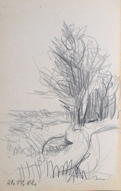 Konrad Sommer:  Baumreihe, 21.11.1982, Bleistift auf Papier, 21,0 x 13,5 cm, bez.u.l.: 21.11.82. 