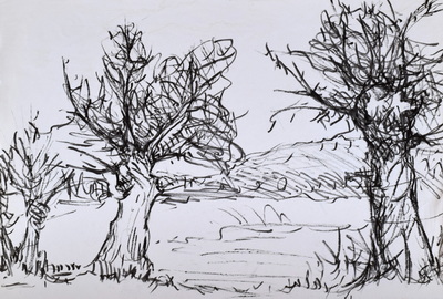 Konrad Sommer: Weiden, um 1983, Filzstift auf  Papier, 30,7 x 45,0 cm