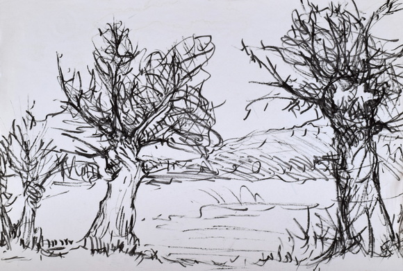 Konrad Sommer: Weiden, um 1983, Filzstift auf Papier, 30,7 x 45,0 cm