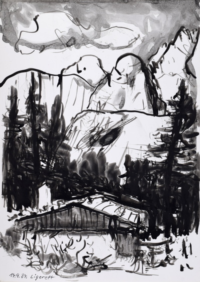 Konrad Sommer: Blick von der Ligerettalm, 14.9.1984,  31,5 x 22,2 cm, Tusche, Rohrfeder auf Papier, bez.u.l.: 14.9.84. Ligerett