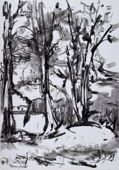 Konrad Sommer:  Bäume auf dem Rennfeld, 15.9.1984, 31,5 x 21,8 cm, Tusche, Rohrfeder auf Papier, bez.u.l.: 15.9.84. Rennfeld