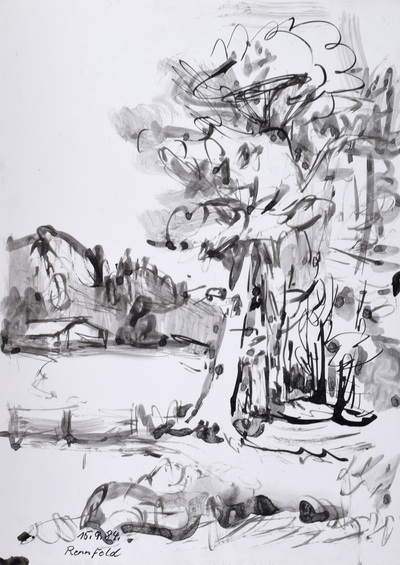 Konrad Sommer: Bäume am Rennfeld, 15.9.1984, 31,5 x 22,2 cm, Tusche, Rohrfeder auf Papier, bez.u.l.: 15.9.84. Rennfeld