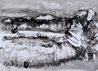 Konrad Sommer, Mooslandschaft mit Hügeln, um 1984, 30,5 x 42,8 cm, Tusche, Rohrfeder auf Papier 