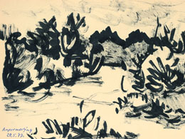 Zeichnungen 1970-1979
